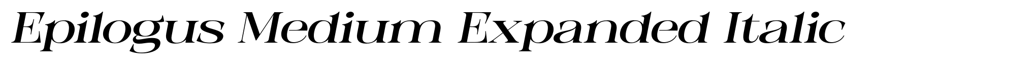 Epilogus Medium Expanded Italic image